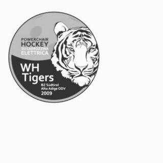 ..a un passo dai Playoff .. Da Monza: SHARKS B Vs TIGERS domenica 19 marzo 2023 ore 15.00 Tigers, Nati Per Vincere #whtigersbz #powerchairhockey #natipervincere